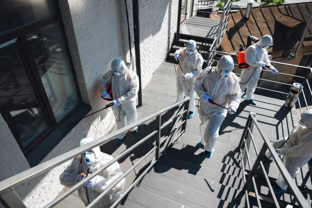Best Mold Remediation for Healthcare Facilities  in Eldon, MO